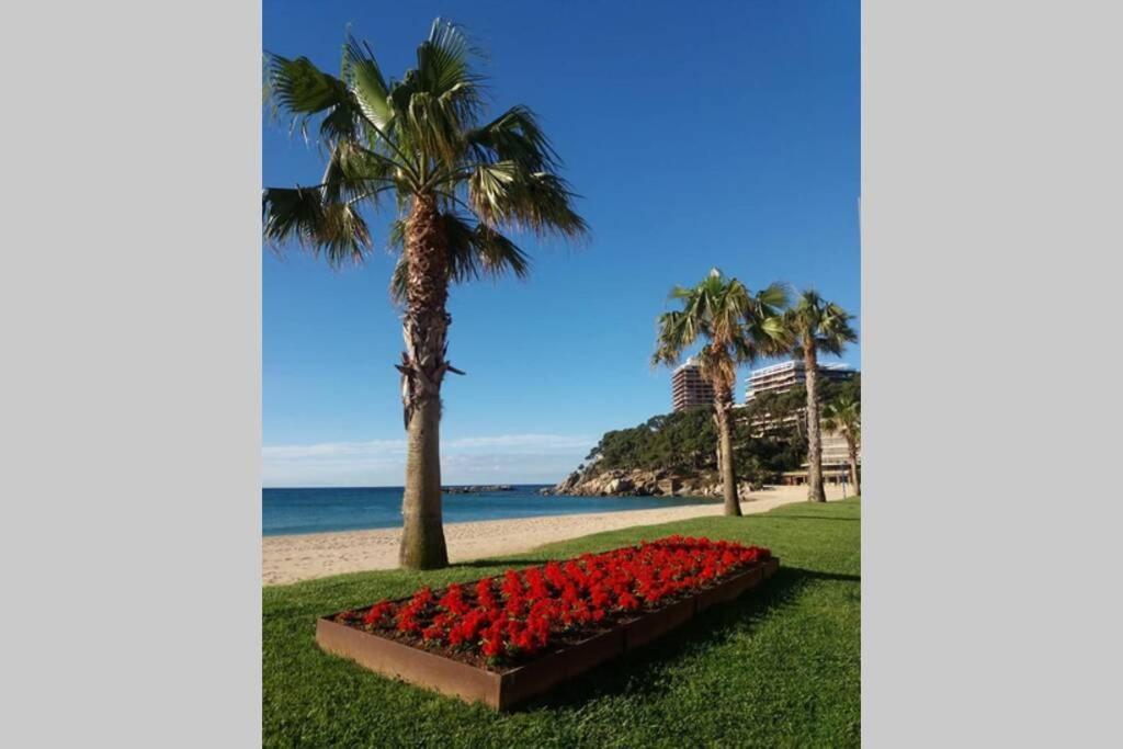 Costa Brava-St Antoni De Calonge Apartament Per Parelles I Families Petites Exterior photo
